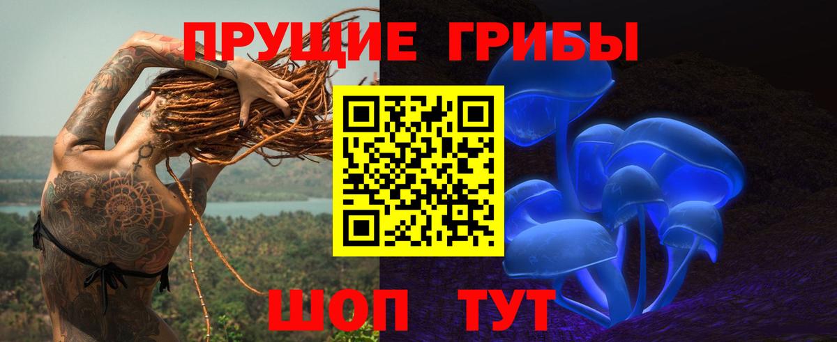 Псилоцибиновые грибы прущие грибы  Вход с VPN  Дубна  Галлюциногенные грибы GOLDEN TEACHER 